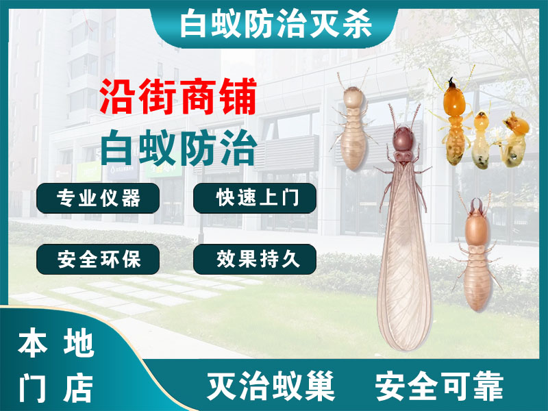 普陀沿街商铺白蚁防治