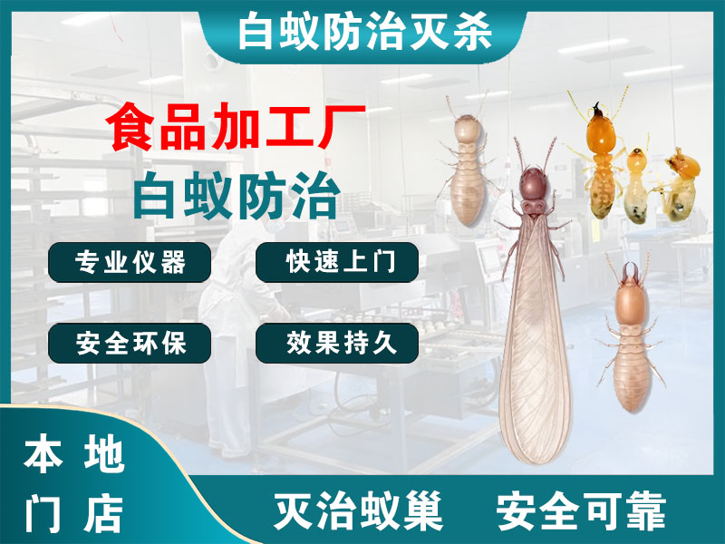 普陀食品加工厂白蚁防治