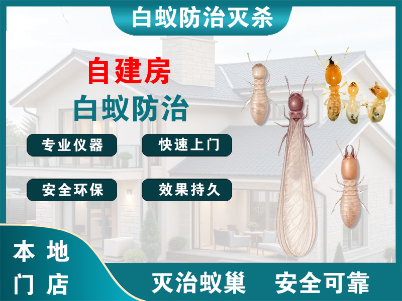 普陀自建房白蚁防治