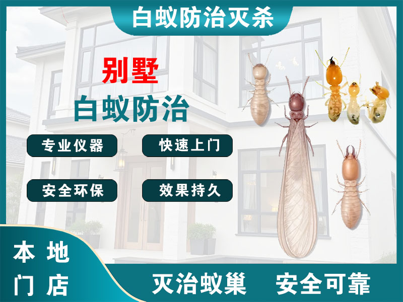 普陀别墅白蚁防治