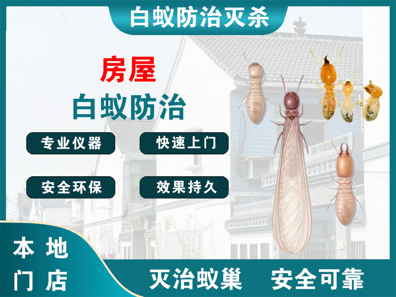普陀房屋白蚁防治